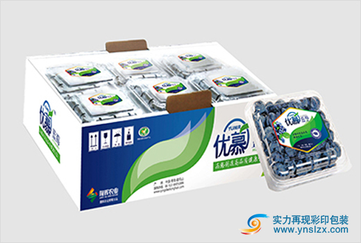 云南水果包裝廠(chǎng)